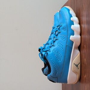 Nike Air Jordan 9 Low Pantone Sz 9.5